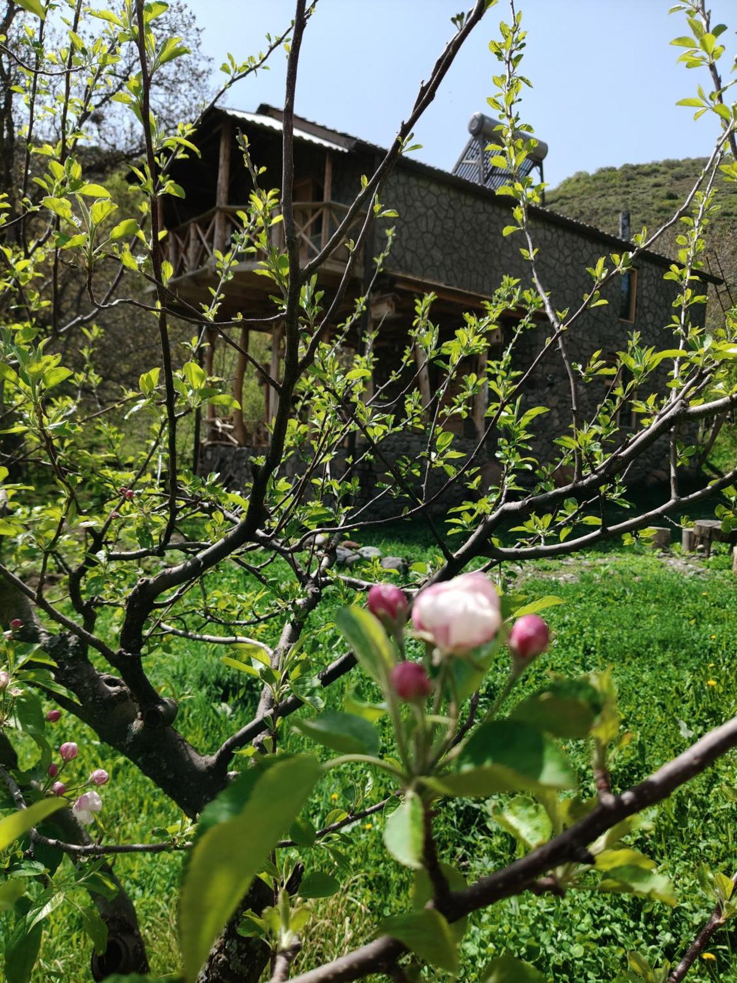 Hors'S Home מראה חיצוני תמונה